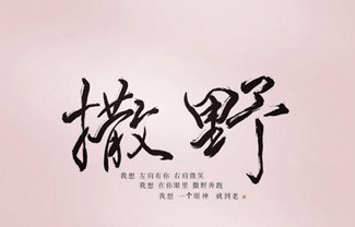 撒野吉他谱,原版凯瑟喵歌曲,简单C调指弹曲谱,高清六线乐谱